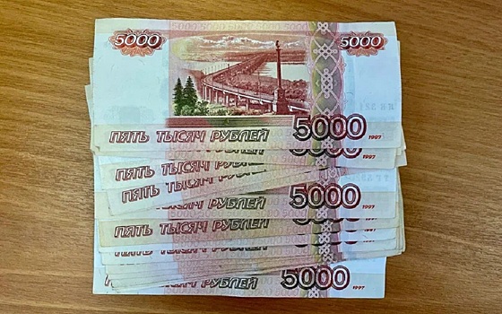 У рязанского предпринимателя требуют компенсацию за Нюшу и Ежика