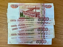 У рязанского предпринимателя требуют компенсацию за Нюшу и Ежика