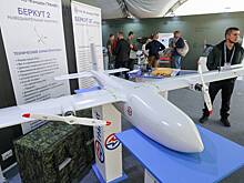 «Роскосмос» представит в Египте макет спутника «Беркут-ВР»