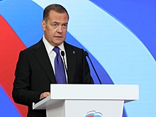 В Словакии заявили о важности встречи с Медведевым