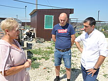 Анапский депутат помогает приюту для бездомных собак