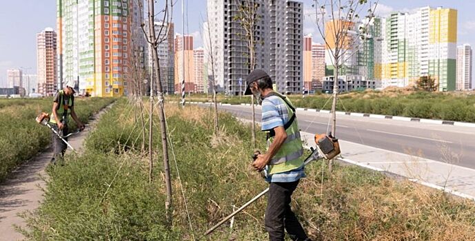 Мария Петрова: «Перед руководством Советского района поставлена задача усилить борьбу с сорной растительностью»