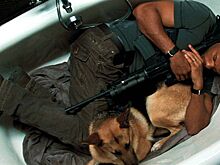 3 известных фильма, финал которых разочаровал весь мир