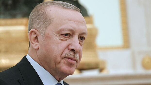 Заявление депутата Рады об Эрдогане шокировало турков