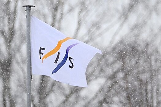 47 стран из 141 ответили на опрос FIS по российским лыжникам. 60% из ответивших поддерживали допуск