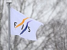 47 стран из 141 ответили на опрос FIS по российским лыжникам. 60% из ответивших поддерживали допуск