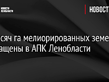 7,1 тысяч га мелиорированных земель возвращены в АПК Ленобласти