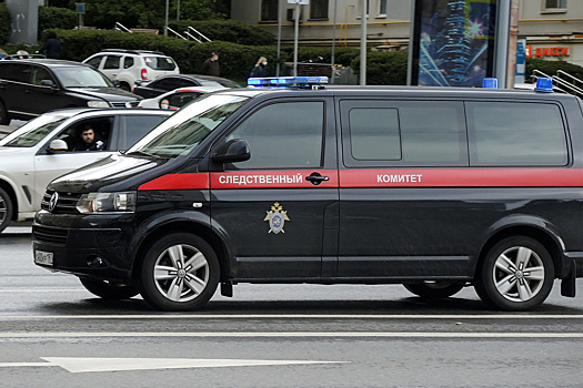 СК подключился к поискам матери и детей, пропавших в Петербурге