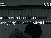 Две жительницы Ленобласти стали жертвами домушников в канун Нового года