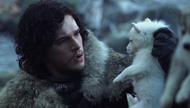 «Под флейту он начинает выть»: как волк стал питомцем