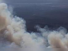 В Тюменской области почти в пять раз уменьшилось количество лесных пожаров в 2024 году