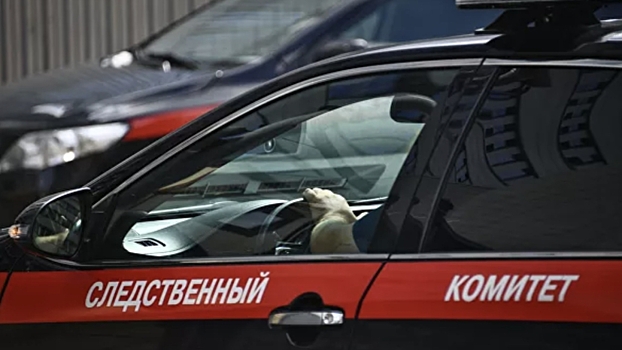 Девочку со следами укусов нашли под окнами дома в Москве
