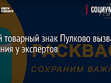 Новый товарный знак Пулково вызвал сомнения у экспертов