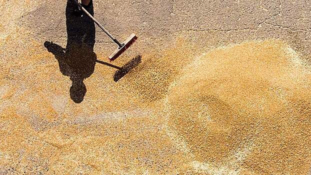 Киев пригрозил Польше обращением в ВТО из-за ситуации с зерном