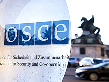 Российских правозащитников лишили возможности очно выступить на конференции ОБСЕ