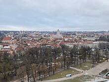 В Литве захотели лишать партии финансирования за критику власти