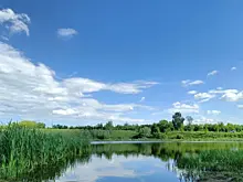 Не уследили старшие: в запрещенном для купания водоёме утонул 9-летний мальчик