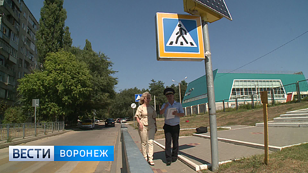 В Воронеже нашли массу нарушений в организации пешеходных переходов у школ