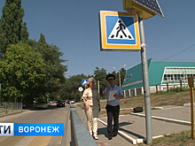 В Воронеже нашли массу нарушений в организации пешеходных переходов у школ