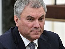 Володин назвал работу Госдумы и правительства над бюджетом конструктивной