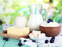 Московская область лидирует по объемам производства кисломолочной продукции