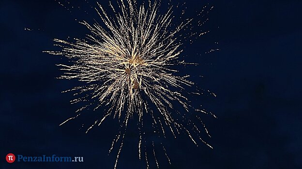 Пензенцы пожаловались на запуск фейерверков в новогоднюю ночь