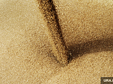 Челябинским аграриям не хватает на посевную 75 тысяч тонн семян