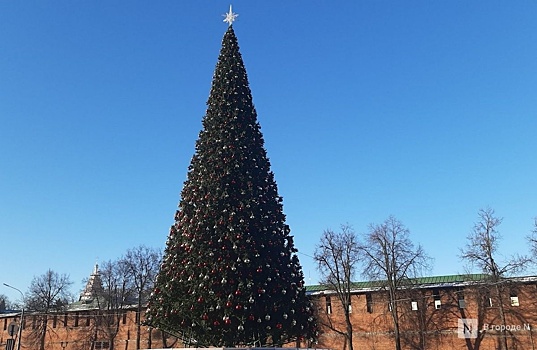 Главную новогоднюю елку в Нижнем Новгороде демонтируют до конца недели