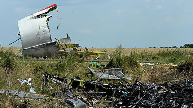 РФ отреагировала на решение Нидерландов по MH17