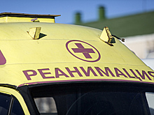 Три человека погибли в ДТП с фурой на российской трассе