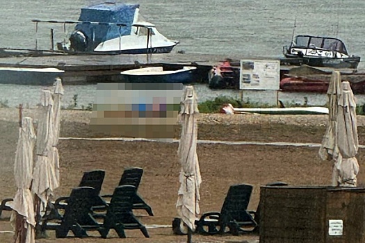 В Тульской области молния убила троих человек