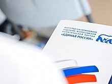 В волгоградском реготделении ЕР рассмотрят все обращения по праймериз