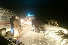 На трассе Нижний Новгород — Саратов перевернулся автомобиль Mercedes