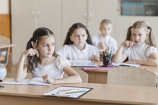 Адвокат озвучила причины для исключения ребенка из школы