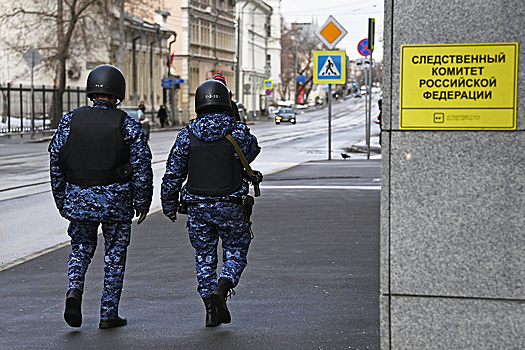 СК заинтересовался призывавшей «убивать русских» украинской телеведущей