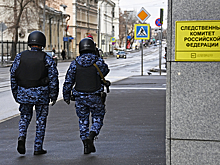 СК заинтересовался призывавшей «убивать русских» украинской телеведущей