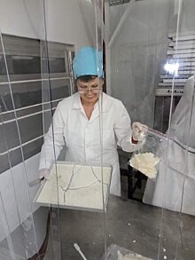 Поставки субстанции для производства отечественного антибиотик начал завод «Восток»