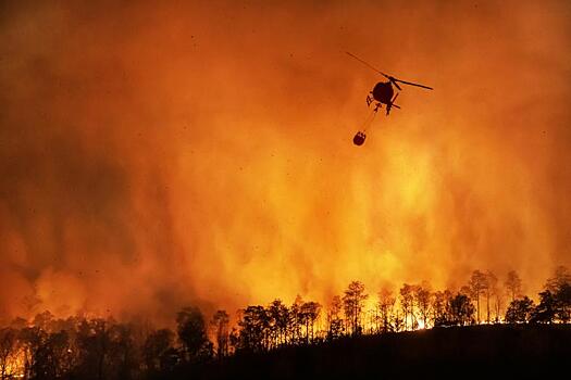Австралийские пожары разнесли облака дыма по всей планете
