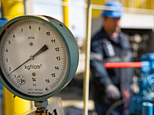 Европейская страна вдвое сократила спрос на газ для производства