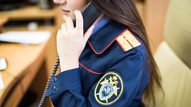 СК предъявил обвинение главе АУИПИК из-за состояния дачи ювелиров Фаберже в Петербурге