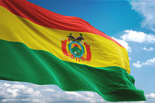 Следующие президентские выборы в Боливии пройдут 3 мая