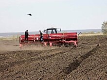 В Татарстане утвердили порядок предоставления субсидий на строительство и ремонт объектов агропрома