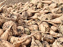 В Тамбовской области выросли объемы промышленного производства