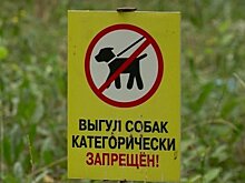 Все загадили: пензенец высказался о выгуле собак на Олимпийской аллее