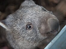Какой сегодня праздник: 22 октября