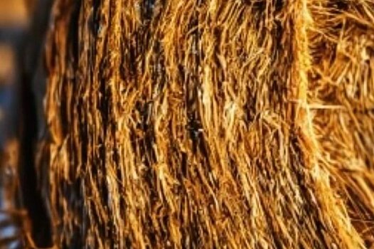 Хранение сена зимой – 3 полезных лайфхака