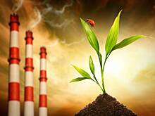 На конференции исследовательских работ, проекты учащихся школы № 1354 вызвали интерес