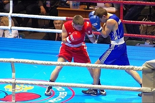 Подмосковные боксеры завоевали четыре медали на чемпионате ВС РФ