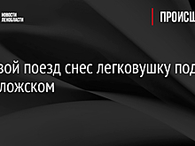 Грузовой поезд снес легковушку под Всеволожском
