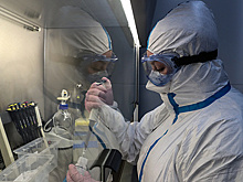 В Японии впервые выявили очаг заражения "британским" штаммом коронавируса